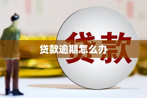 扶风贷款逾期怎么办