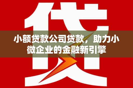 扶风小额贷款公司贷款，助力小微企业的金融新引擎