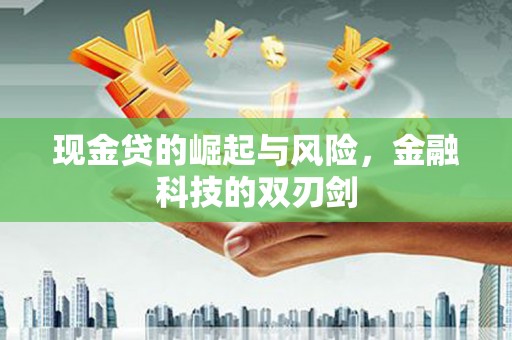 扶风现金贷的崛起与风险，金融科技的双刃剑