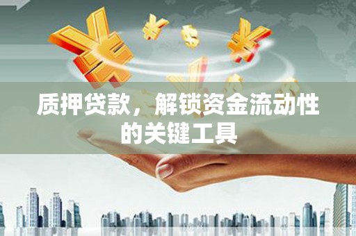 扶风质押贷款，解锁资金流动性的关键工具