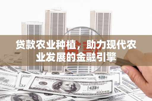 扶风贷款农业种植，助力现代农业发展的金融引擎