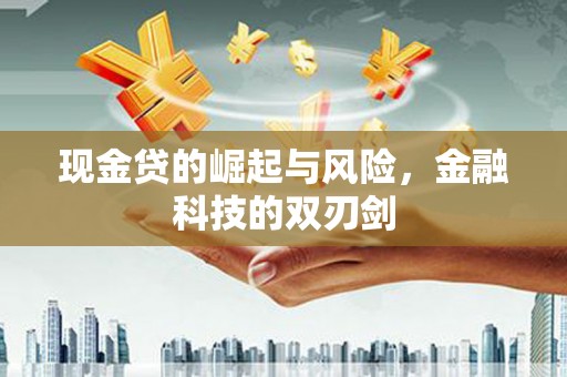 扶风现金贷的崛起与风险，金融科技的双刃剑