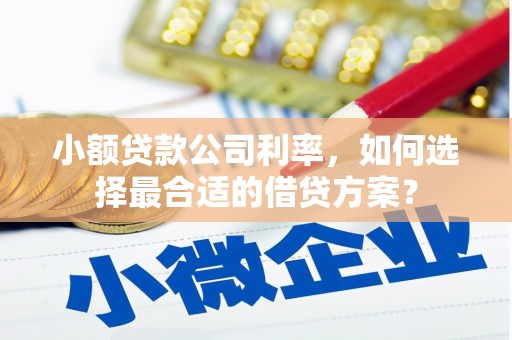 扶风小额贷款公司利率，如何选择最合适的借贷方案？