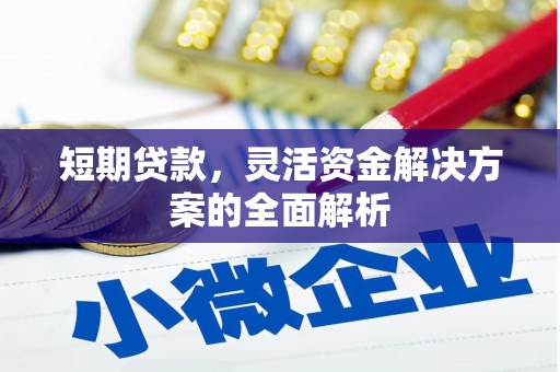 扶风短期贷款，灵活资金解决方案的全面解析