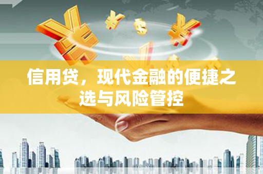 扶风信用贷，现代金融的便捷之选与风险管控