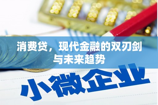 扶风消费贷，现代金融的双刃剑与未来趋势