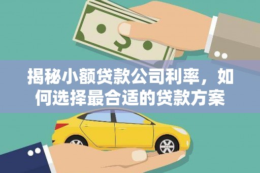 扶风揭秘小额贷款公司利率，如何选择最合适的贷款方案