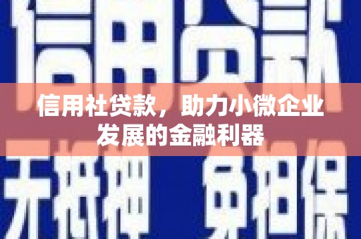 扶风信用社贷款，助力小微企业发展的金融利器