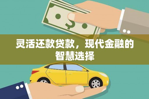 扶风灵活还款贷款，现代金融的智慧选择