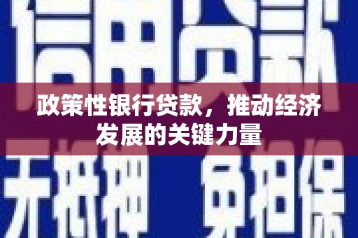 扶风政策性银行贷款，推动经济发展的关键力量