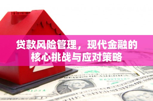 扶风贷款风险管理，现代金融的核心挑战与应对策略