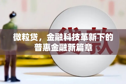 扶风微粒贷，金融科技革新下的普惠金融新篇章