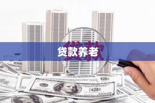 扶风贷款养老