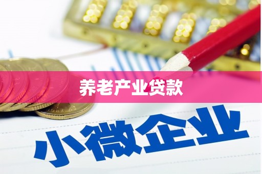 扶风养老产业贷款
