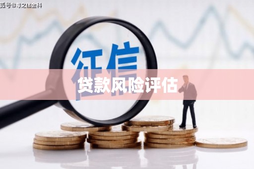 扶风贷款风险评估