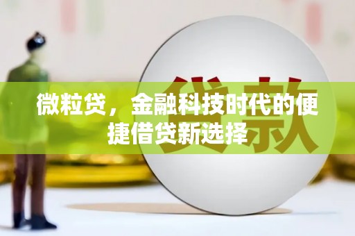 扶风微粒贷，金融科技时代的便捷借贷新选择