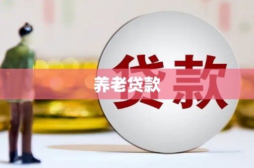 扶风养老贷款