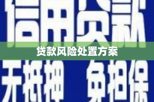 扶风贷款风险处置方案