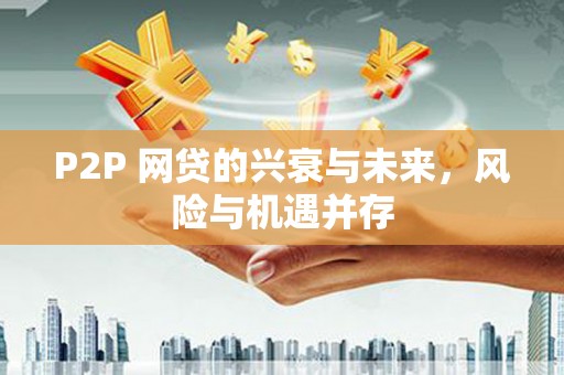 扶风P2P 网贷的兴衰与未来，风险与机遇并存