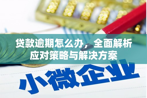 扶风贷款逾期怎么办，全面解析应对策略与解决方案