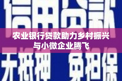 扶风农业银行贷款助力乡村振兴与小微企业腾飞