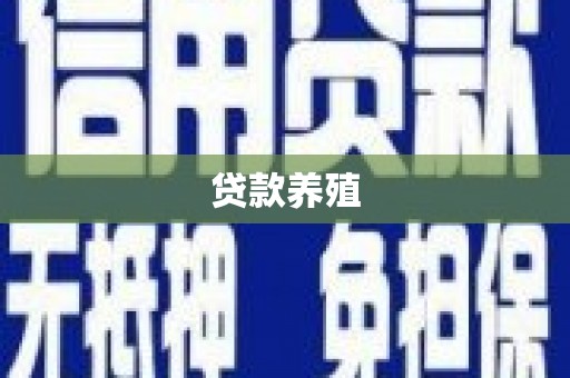 扶风贷款养殖