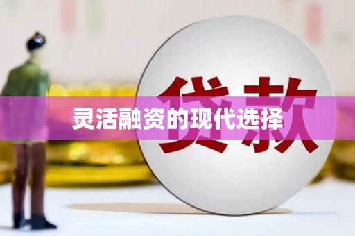 扶风灵活融资的现代选择