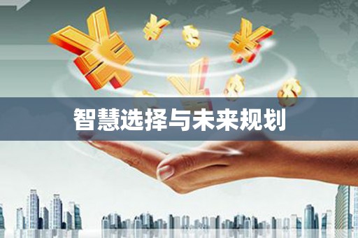 扶风智慧选择与未来规划
