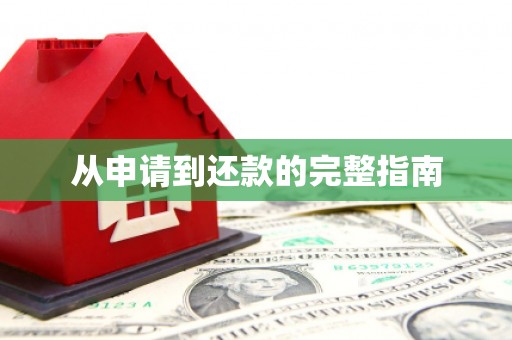 扶风从申请到还款的完整指南