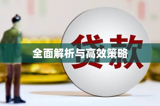 扶风全面解析与高效策略