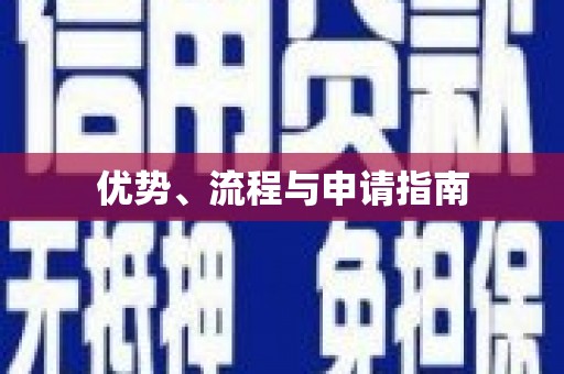 扶风优势、流程与申请指南