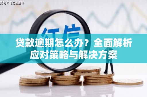 扶风贷款逾期怎么办？全面解析应对策略与解决方案