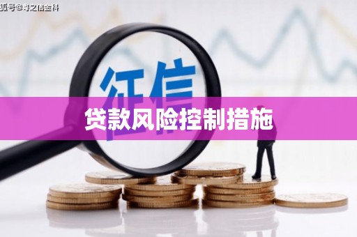 扶风贷款风险控制措施