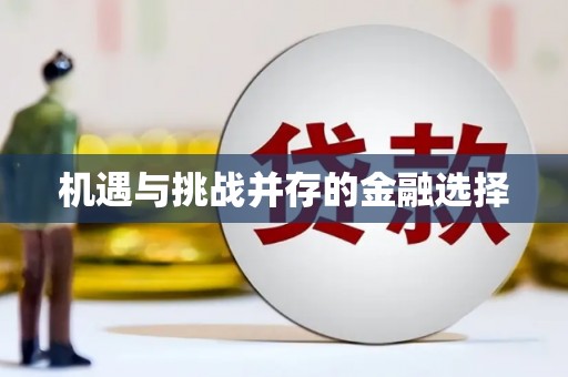 扶风机遇与挑战并存的金融选择