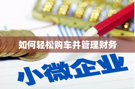 扶风如何轻松购车并管理财务
