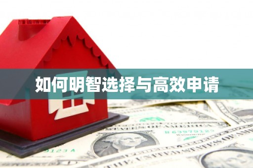 扶风如何明智选择与高效申请