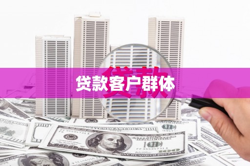 扶风贷款客户群体