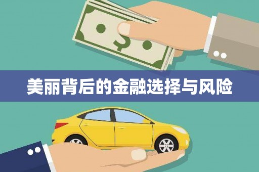 扶风美丽背后的金融选择与风险