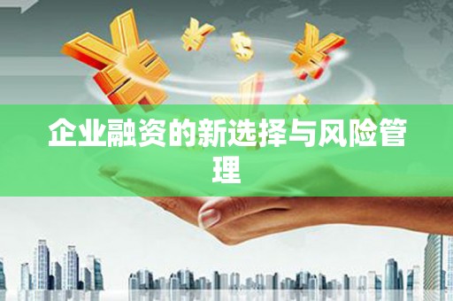 扶风企业融资的新选择与风险管理