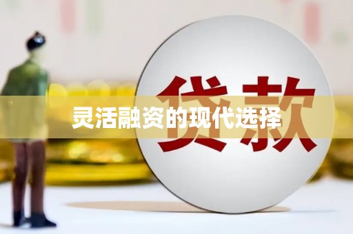扶风灵活融资的现代选择