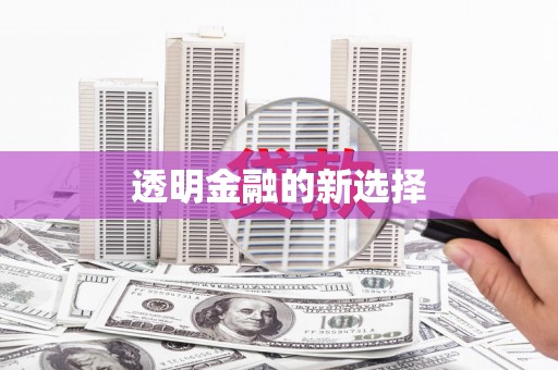扶风透明金融的新选择