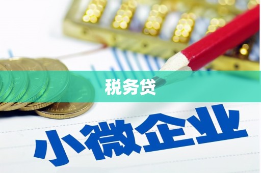 扶风税务贷