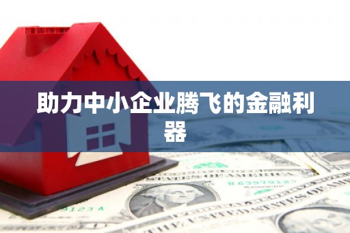 扶风助力中小企业腾飞的金融利器