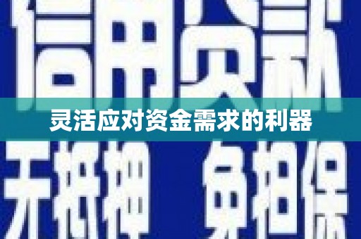 扶风灵活应对资金需求的利器