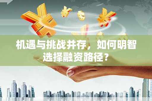 扶风机遇与挑战并存，如何明智选择融资路径？