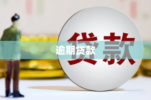 扶风逾期贷款