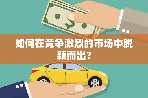 扶风如何在竞争激烈的市场中脱颖而出？