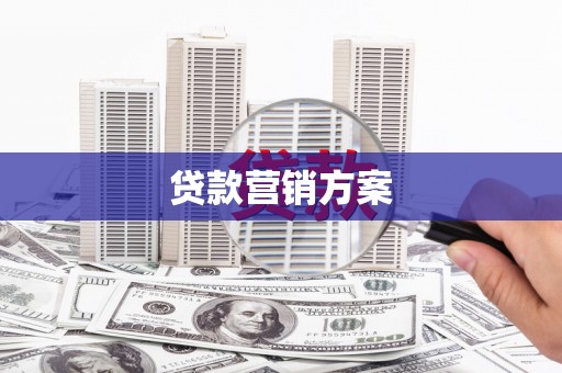 扶风贷款营销方案