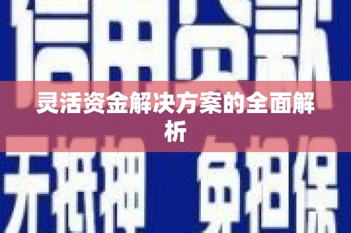 扶风灵活资金解决方案的全面解析