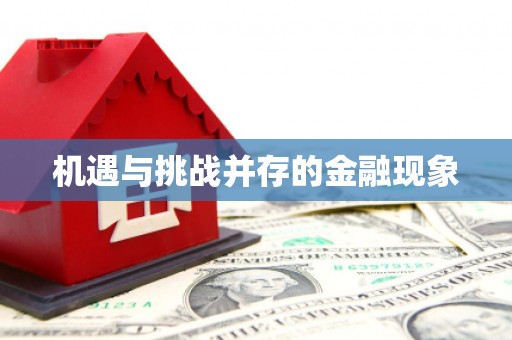 扶风机遇与挑战并存的金融现象